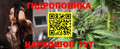 гашик Кинель